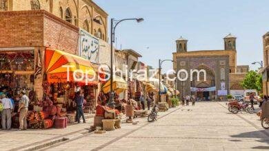 برنامه سفر یک روزه به شیراز