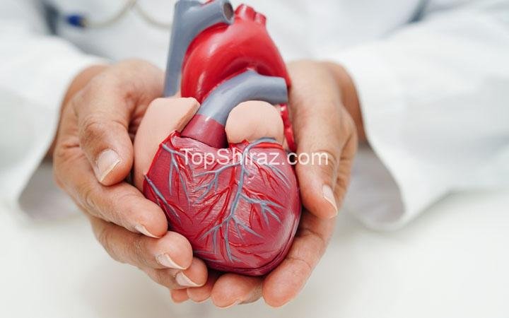 کلینیک‌ های تخصصی قلب و عروق